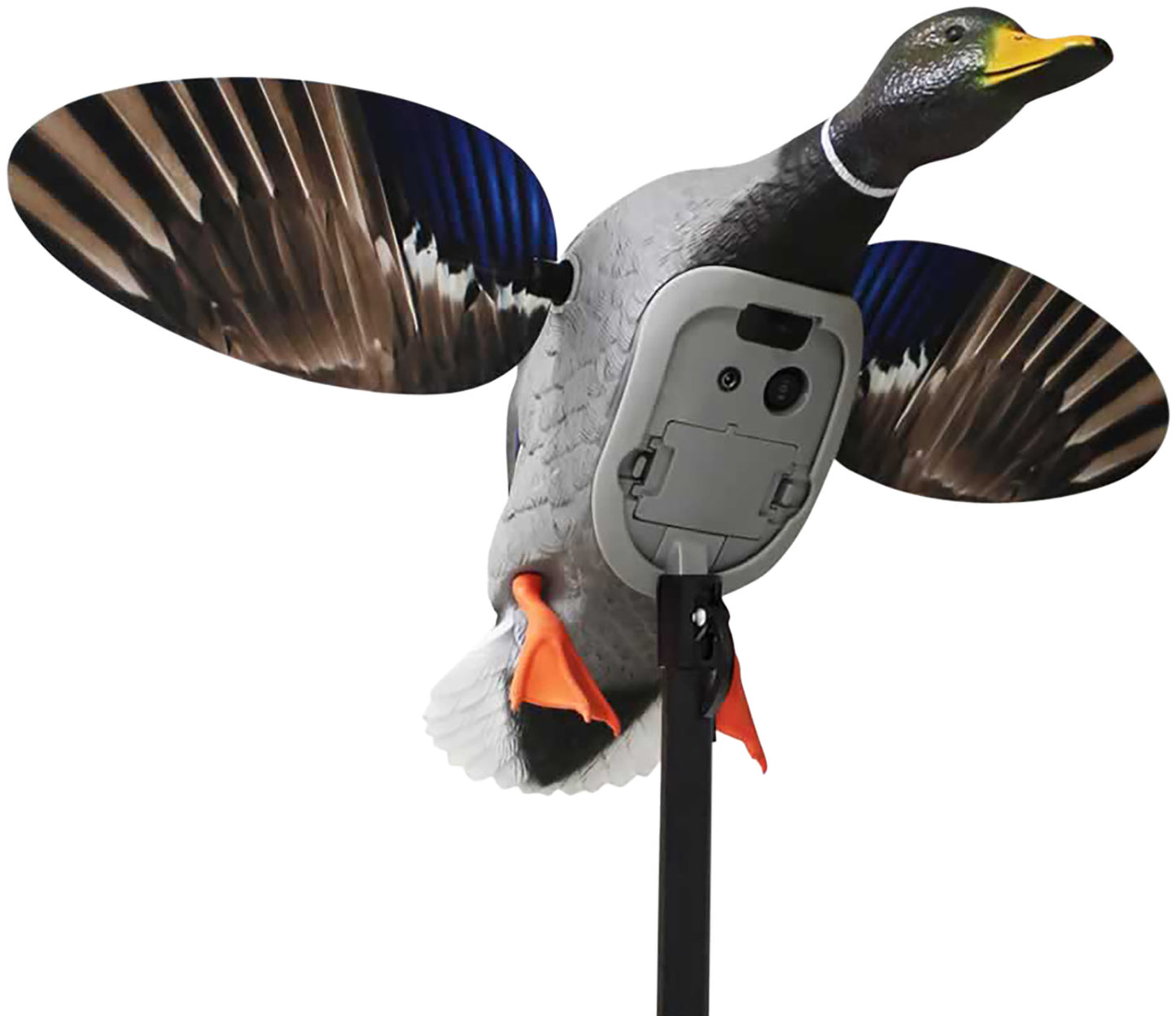 MOJO HW2520 ES KING MALLARD