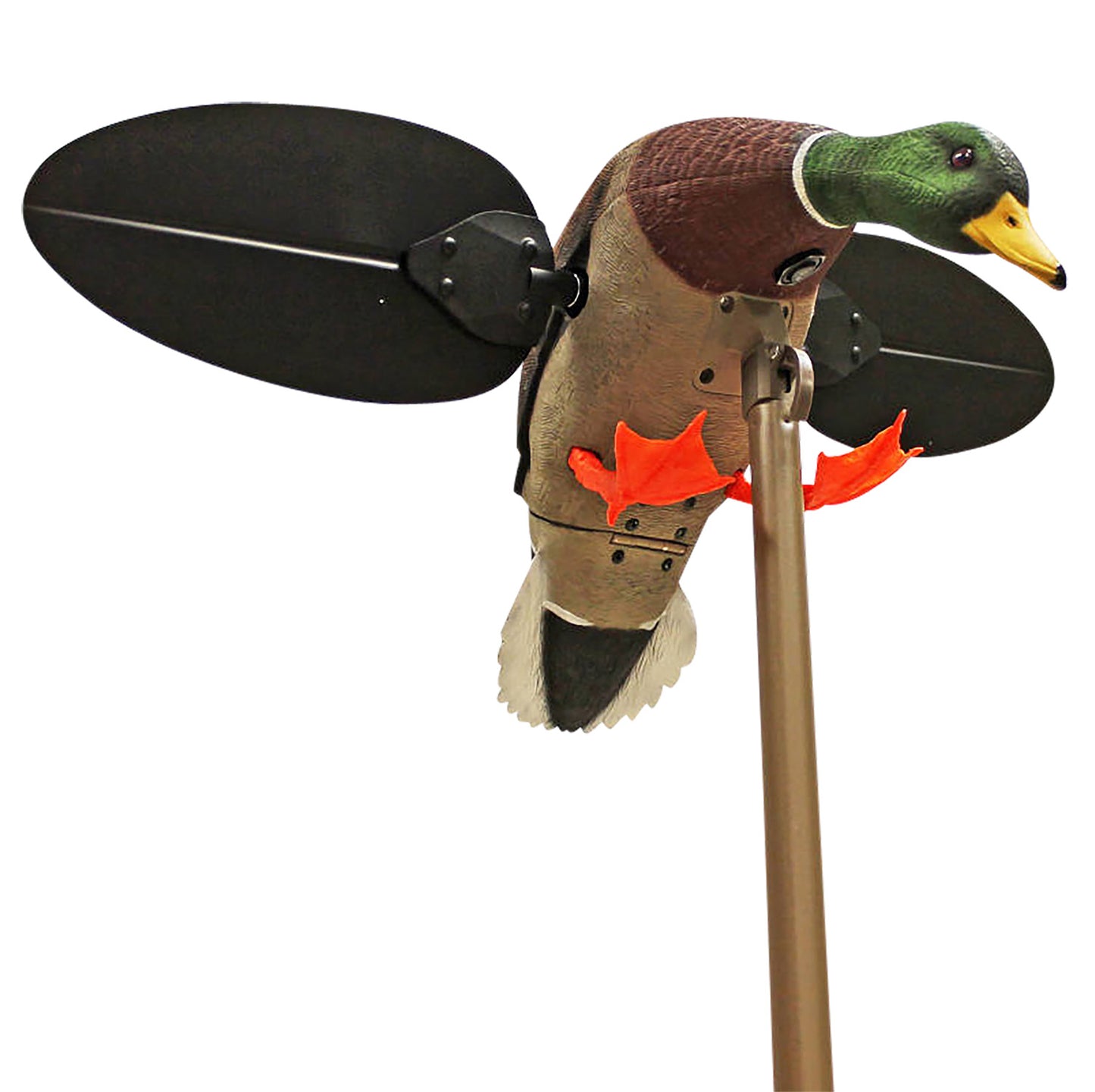 MOJO HW2533 MALLARD DRAKE