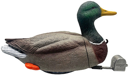 MOJO HW2554 DABBLER DUCK