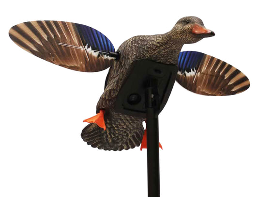 MOJO HW2471   ES MINI MALLARD HEN
