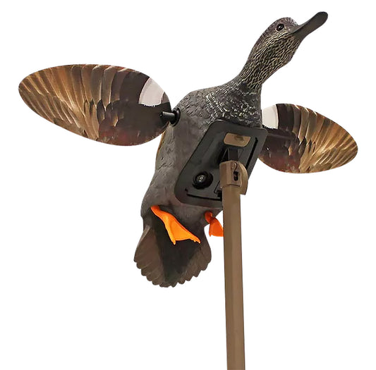 MOJO HW2473-3P   ES GADWALL