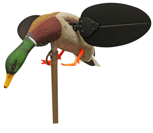 MOJO HW2533   MALLARD DRAKE