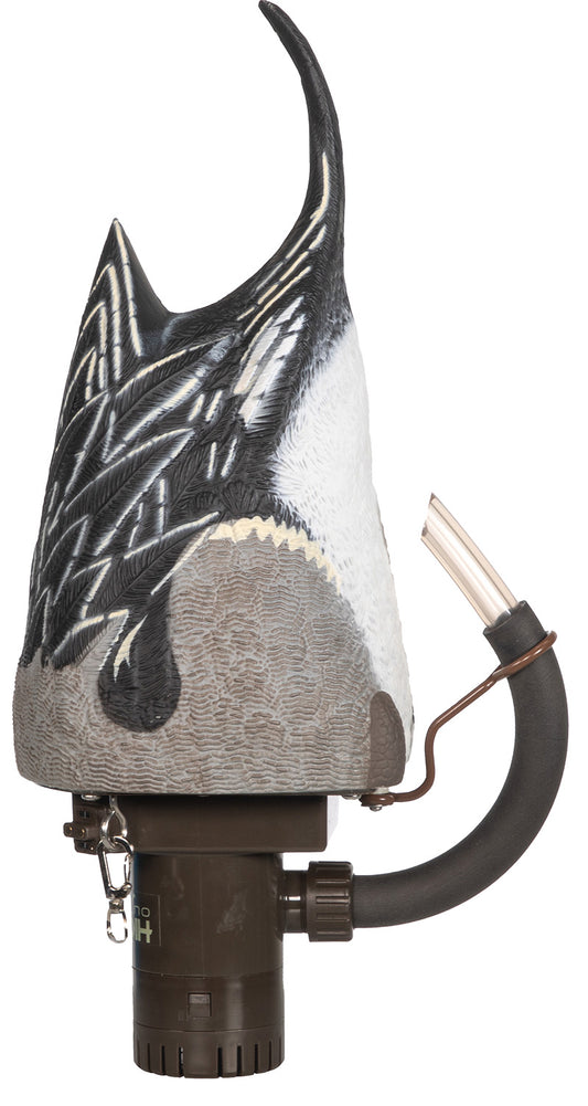 HIGDON 54573 PULSATOR PRO PINTAILARD DRAKE