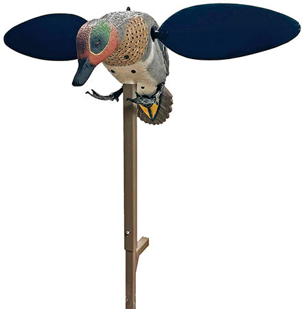 MOJO HW2555   GREEN WING